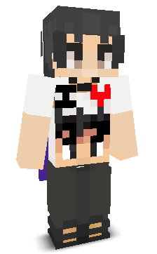 qzzsd's skin