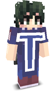 CoachTamir's skin