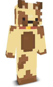 wooyz's skin