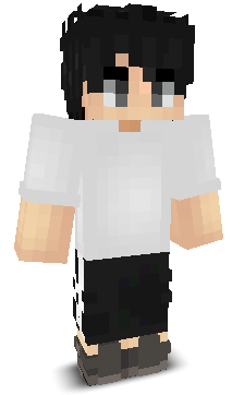 xssdd's skin