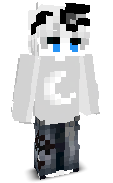Birdcpvp's skin