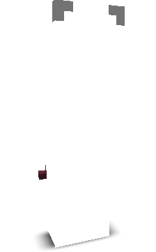identificar's skin
