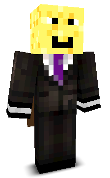 seerPL's skin