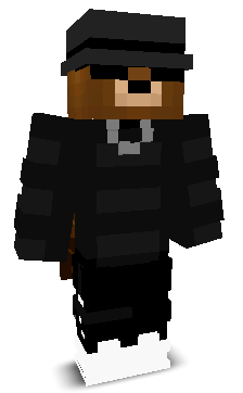DUDEGAMER234's skin