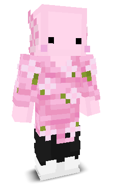 PaxtonAPlays's skin