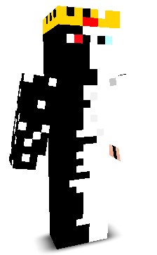 Rand0m_W1fi's skin
