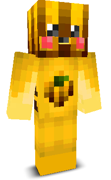 HouiZ's skin