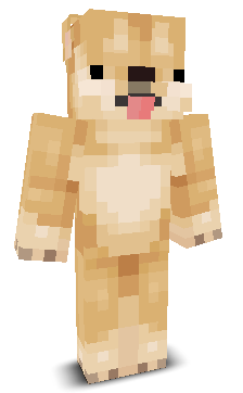 Shorki9's skin