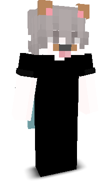 WojtasKond's skin