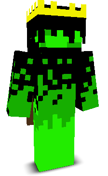 Remote6663850's skin