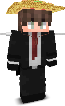 zoomfay's skin