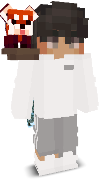 _PhoenixYT's skin