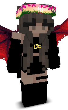CubeLessNoob's skin