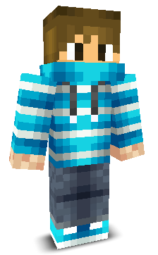 MarioJaKukko's skin