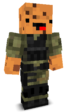 Pro_gamer_12's skin