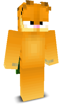 noxxylol's skin