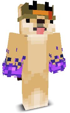 DogeLisa_CZ's skin