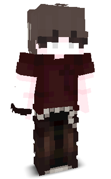 aulo_1's skin