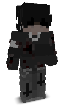 wik1222's skin