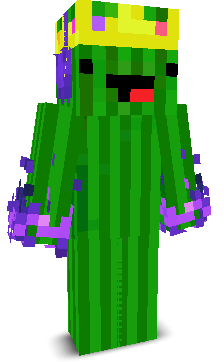 Grzesieq__PRO__'s skin