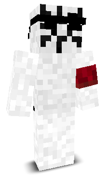 portalcake86's skin