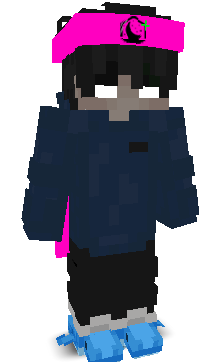 12dv's skin