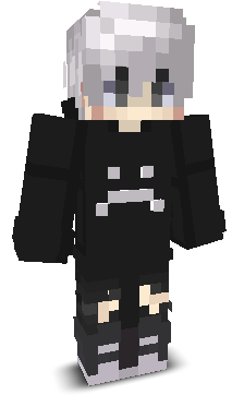 Sanraku121's skin