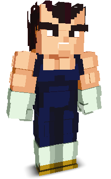 Vegeta_SOLOS's skin