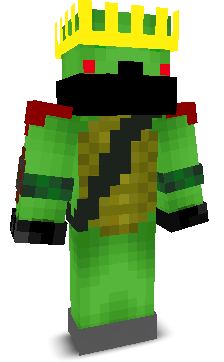 turtle_lord1's skin