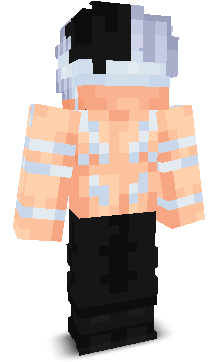 V1lorr's skin