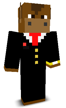 TheDonkeyYT's skin