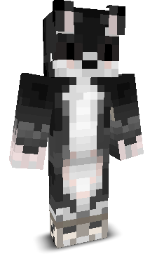 Cocogamingpro's skin