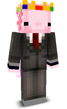 PlayerABC100's skin