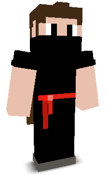 misterdumb13's skin