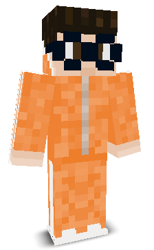 NoamSohar's skin