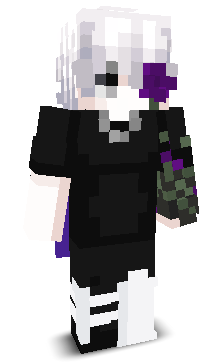 Noxenn_'s skin