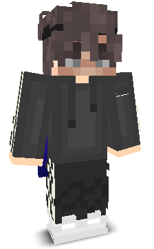 V1v3__'s skin