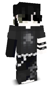 AirshipWolf8924's skin