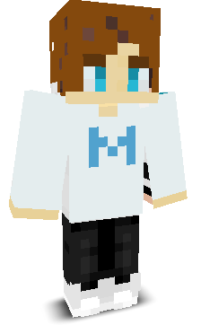 mir0sk1's skin
