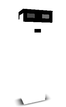 5gPlayer's skin