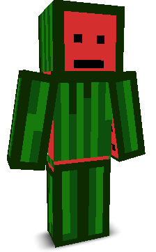 VoxylBlock's skin
