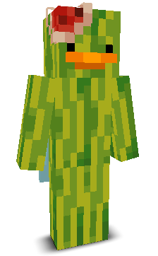 Duck_Fixel's skin