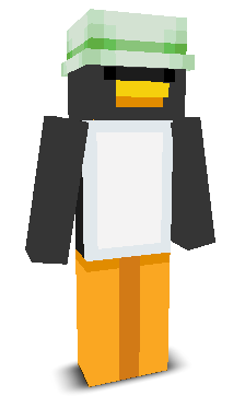 Chikflay's skin
