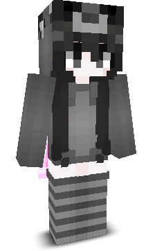 Intellct's skin
