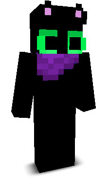 aeerodynamics's skin