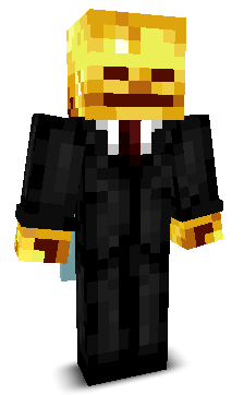 W1ntiss12's skin