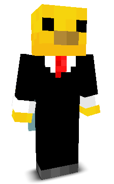 PTE13's skin