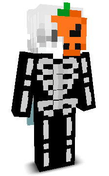 kot2023's skin