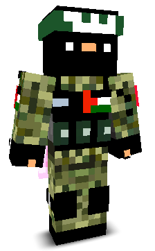 sky_hundred's skin