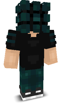 siedlarzz's skin